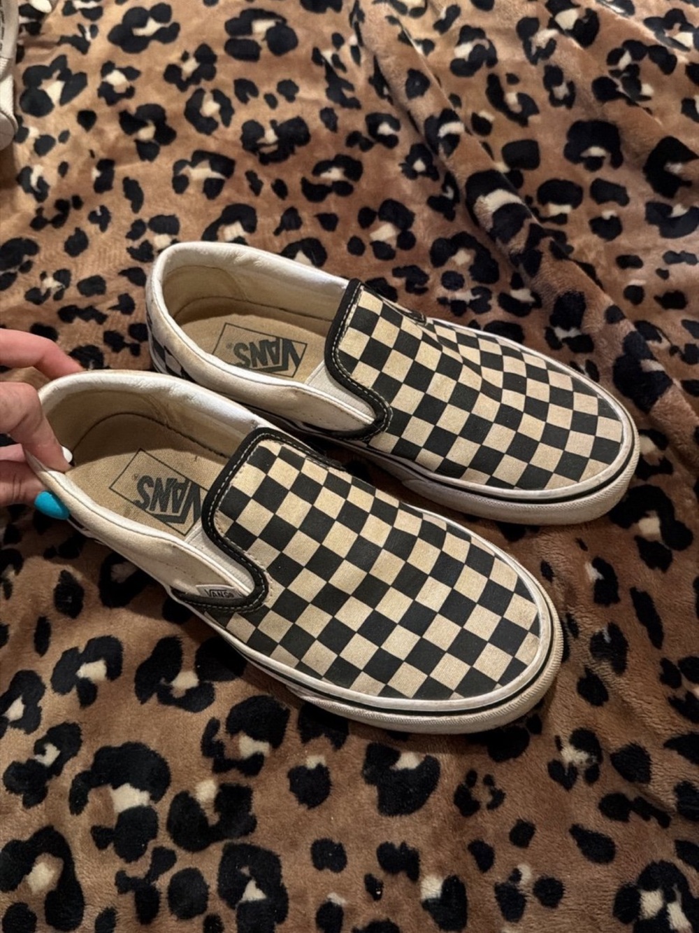 Vans Slip-On Checkerboard in Black and Cream